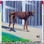 Pariah dog, Bulgaria